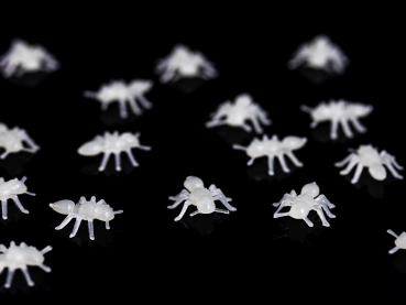 Kleine Plastik-Ameisen 70 St. - fluoreszierend
